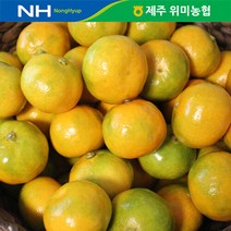 브랜드없음 제주 위미농협 하우스감귤 5kg(45-55과), 단품없음