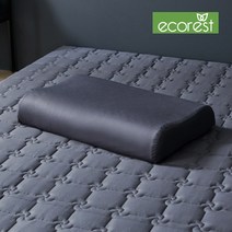 에코어 천연라텍스 베개/바디필로우 모음전(라텍스폼+쿨속커버+겉커버), 7.죽부인 특대형, 9.클라우드그레이