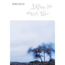 이노플리아 호랑이는 왜 바다로 갔나, One color | One Size@1