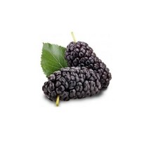 자연발효 오디청 오디원액 (300ml/ 500ml)오디즙 오디효소 오디액, 300ml