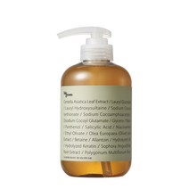 빅그린 중 건성용 탈모샴푸 시카 500ml+사은품