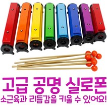 캐스비 맑은소리 고급공명실로폰, 8판, 혼합 색상