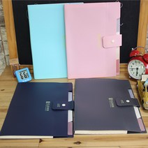 날쌘거북이 정품! A4사이즈 5칸 포켓 디바이드 화일케이스 수납공간 튼튼한 무광재질 파일케이스, 민트