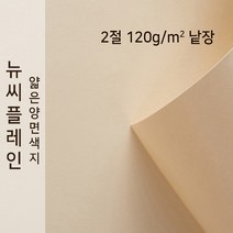 뉴씨플레인 종이문화 얇은 양면색지 120g 2절 낱장 1매 No.33 베이지, 1장