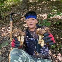 2022년 강원도 자연산 송이버섯 1등품 2등품 개산품 500g 1kg, 2등품 1kg