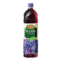 롯데 델몬트 포도 1.5L 낱개 / 2페트, 2개