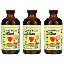 (아이허브) 3개X ChildLife 어린이 액상 종합비타민 앤 미네랄 오렌지망고맛 237ml 빠른직구, 3개X ChildLife 어린이 액상 종