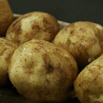 2021햇감자 햇감자 감자 농수산물, 1박스, 왕특_5kg
