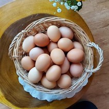 [연호농장] 무항생제 HACCP 인증 생계란 신선특란 30구, +10알 40구