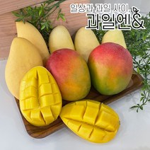 과일엔 프리미엄 고당도 애플망고 태국망고 골드 무지개 망고 모음, 태국 남독마이 골드망고, 2.5KG 내외 5~7입