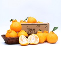 제주삼촌 15브릭스 초고당도 제주 하우스 한라봉 10kg 5kg 3kg 벌크, 하우스 한라봉 10kg 대과