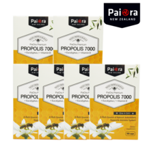 사은품+파이오라 뉴질랜드 프로폴리스 면역강화 7000mg 60캡슐, 프로폴리스 7000mg 60캡슐 6통, 6개