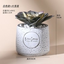 다육 조화 화분 선인장 데코 미니 노르딕 인조, 10. 화이트 타설린