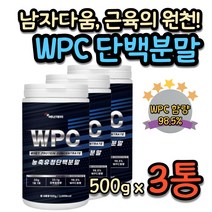 남자 가슴근육 키우기 고함량 단백질 농축 유청분말 WPC 고농축 프로틴 타먹는 쉐이크 20대 30대 운동 헬스 보조제 BCAA BACC PROTEIN 필수 아미노산 류신 로이신