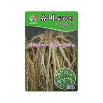 제일 슈퍼도라지(으뜸도라지) 씨앗 1000립
