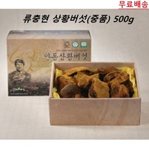 류충현 약용버섯 국내산 국산 참나무 상황버섯 뽕나무 고급 버섯 선물세트 500g