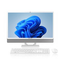삼성전자 일체형PC DM530ADA-L15AH WIN11 RAM 8GB NVMe 128GB, DM530ADA-L15A