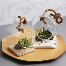 스윗 집모양행잉걸이 유리꽃화병(대)