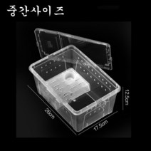 달팽이 키우기 달팽이집 사육 세트, 중간사이즈