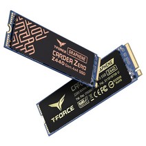 팀그룹 T-Force CARDEA ZERO Z440 NVMe M.2 SSD (1TB) 서린씨앤아이, 1개, 0, 선택하세요