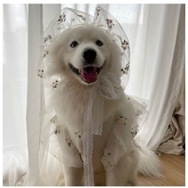 대형견옷 강아지패딩 대형견큰개 옷 여름 드레스 코기 시바 이누 사모예드 허스키 래브라도 골든 리트리버, 01 WHITE_04 XXL