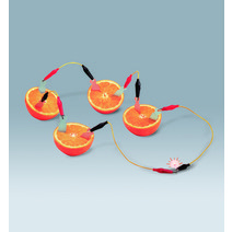 과일전지세트(발광다이오드)
