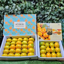 제주 고당도 하우스 감귤, 5kg 로얄과(S-M), 1개