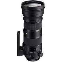 시그마 150-600mm f5-63 dg os hsm | 스포츠, 렌즈만 + 캐논용