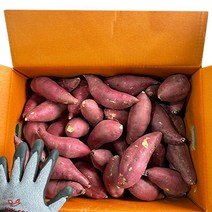 국내산 영암 황토 고구마 상 10kg, 1, 본상품선택