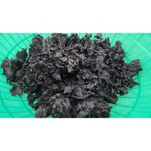 자연산곰버섯 500g~5kg, 1개, 3kg