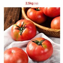 라이코펜 다량 함유 영양 토마토 대 2.5키로 맛좋은