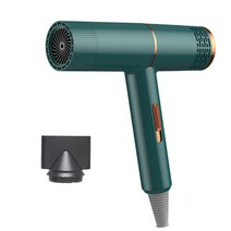 강아지 털말리기 펫드라이기 애견 드라이기 개미용 건조기 애완 동물 머리 고양이 송풍기 따뜻한 바람 1000, 01 Green-EU Plug