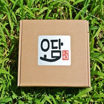 오담견과 견과강정 추석 명절 선물세트, 1호(24개, 손잡이상자), 23g