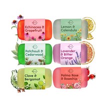[정품] O Naturals 시트러스 천연 비누 6개 - 에센셜 오일이 포함된 유기농 비누, 4 Ounce (Pack of 6), Botanical Soap