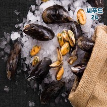 국내산 반자숙 피홍합살 400g/400g 세척홍합 국내직접 가공 홍합탕 간편한 홍합요리 냉동, 씨푸드24 자숙홍합살 500g