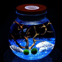 테라리움 화분 LED볼단지 700ml/마리모 조명 유리병