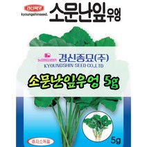 경신종묘 소문난잎우엉 5g 파종용 씨앗 종자