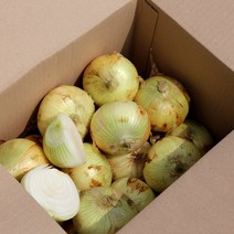 항채원 달큰아삭 신선한 국내산 햇양파 특대(350g이상) 당일선별 망포장 오늘출발, 1개, 대7kg