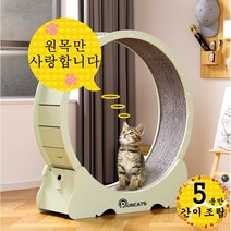 런캣 무소음 간단 설치 원목 캣휠 고양이캣휠, M(91*36*98), 간이 설치, 아보카도그린, M(91*36*98)