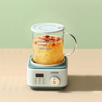 약탕기 가정용 업소용 한약 도자기 중탕기 대용량 홍삼 달임기 전기 탕약기 스마트 건강 전기 주전자 500ml, 01 green_01 EU