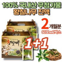 100% 국산 야생 황칠 나무 진액 원액 엑기스 액기스 차 열매 황칠나무즙 황칠액 항칠 황칠즙, 2박스