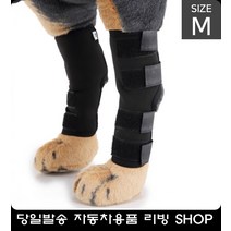 슬개골 애견 보호대 반려용품 개용품 강아지무릎보호대 강아지쓸개골, 블랙