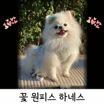 강아지 하네스 리드줄 세트 하네스 옷조끼 귀여운거 소형 xs s, 꽃원피스하네스(핑크)