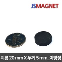 정신마그네트 페라이트 등방성 이방성 교재용 원형 사각 링 자석, 1개, b_이방원형_06_20x5(12개)