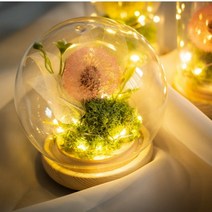 민들레 홀씨 원형 무드등 키트, 핑크