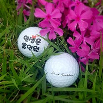 와우박스 주문제작 골프공마킹 홀인원 기념 선물, 타이틀리스트 V1 Pro, 2번 캘리체