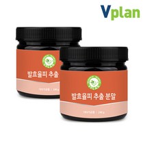 브이플랜 발효율피 추출 분말 가루 차 2통 480g 국산 밤속껍질