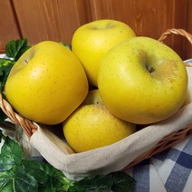 청송 시나노골드(황금사과) 1.5kg 2.5kg 5kg(선물세트), 시나노골드2.5kg 중소과