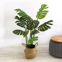 조아트 인조나무 조화 몬스테라 아레카야자 벤자민 극락조 11종, 02_몬스테리어 120cm, 1개