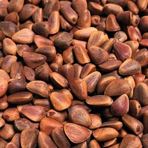 국산 피잣 100g 햇잣 잣 부럼잣 피잣 큰알 솔잎향 가득한 쪽빛누리, 1개